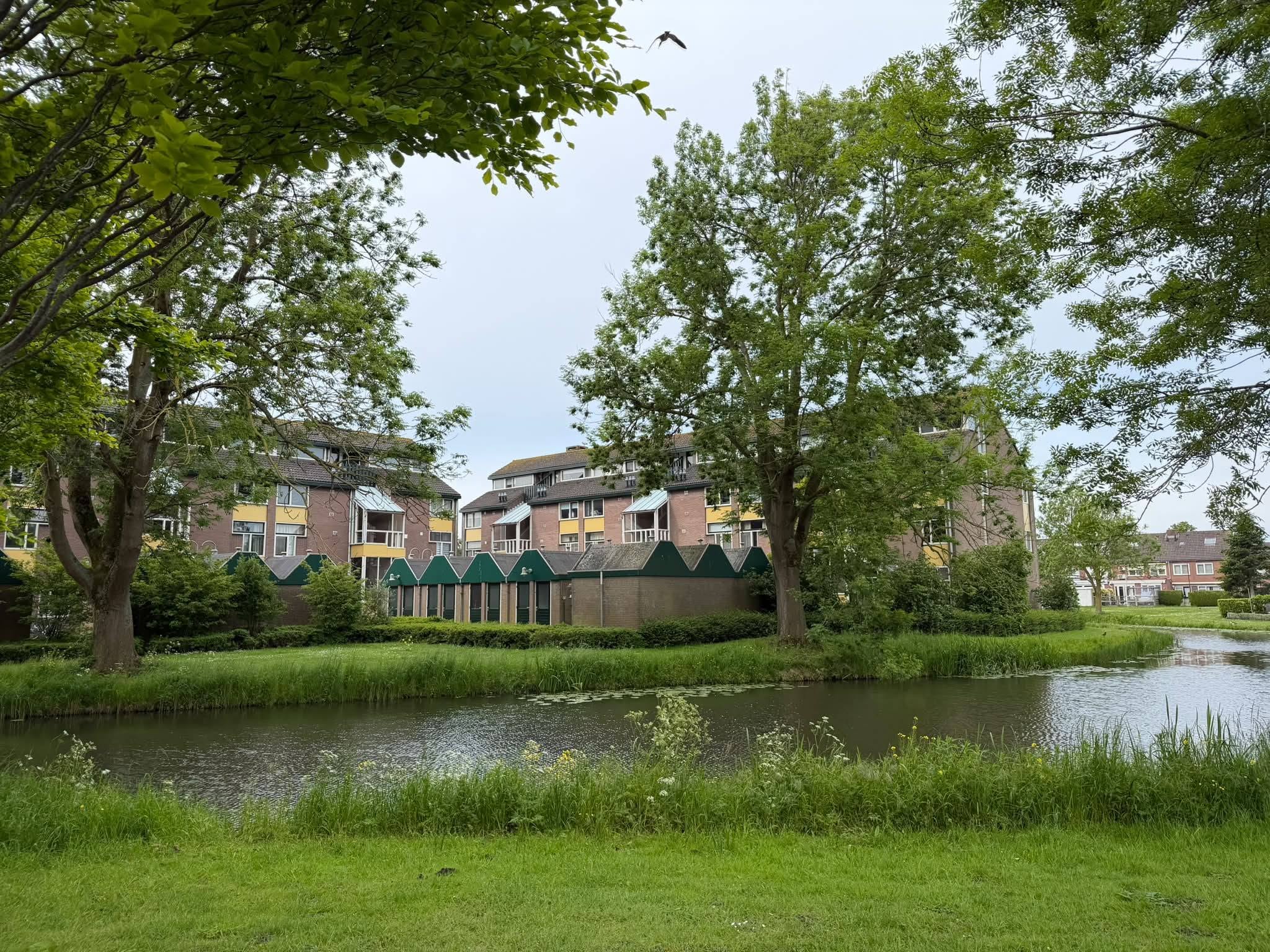 Raad niet apart geïnformeerd over sloop, antikraak en planning Zonnesingel